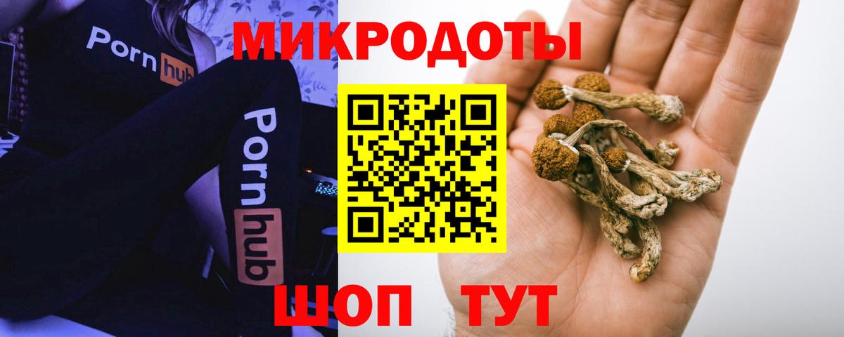 Сергиев Посад  Галлюциногенные грибы GOLDEN TEACHER  Галлюциногенные грибы GOLDEN TEACHER  где найти   Вход с VPN 